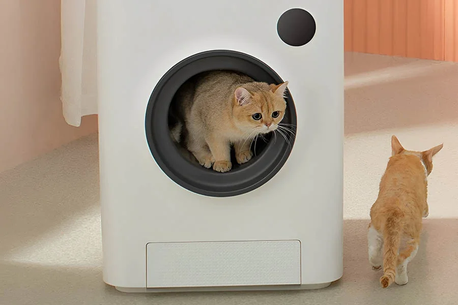 best multi cat litter box