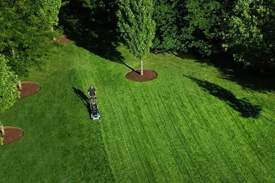 walk behind electric lawn mower