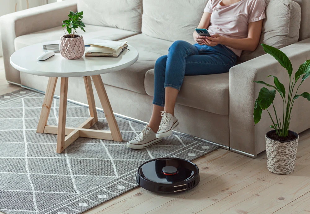 clean smart robot vacuum cleaner